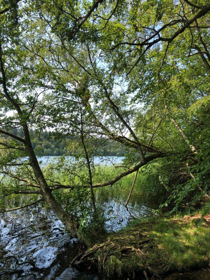 Borgdal Panzió Samsø község Kültér fotó